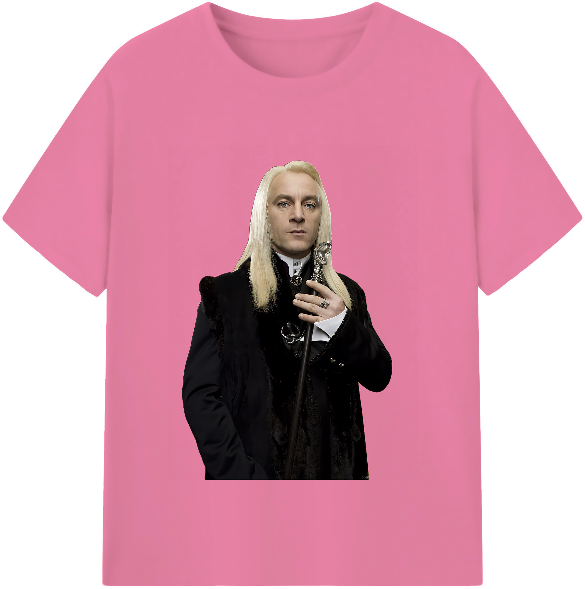 （画像用） Harry Potter ハリー・ポッターシリーズ 綿100％半袖Tシャツ（フロントプリント）